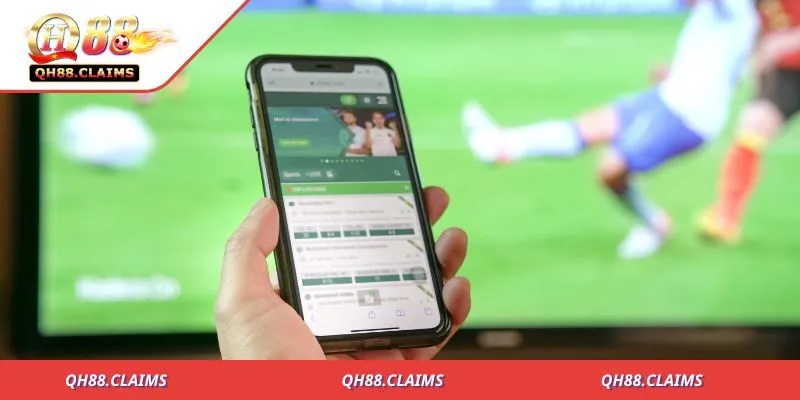 TRANG CHỦ 28 QH88 khẳng định vị thế hàng đầu qua hành trình bền vững